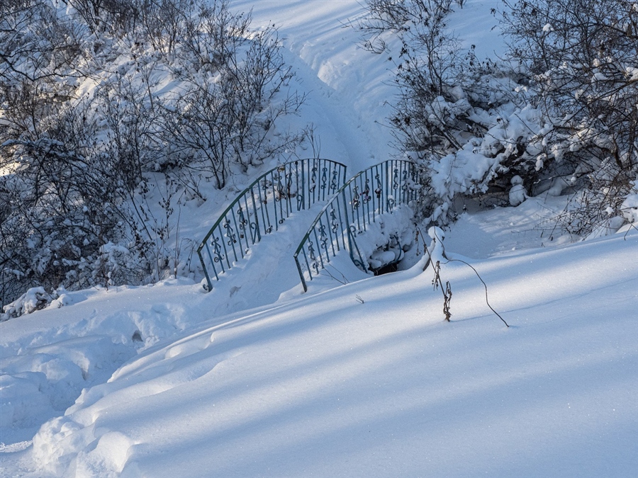 Фото жизнь