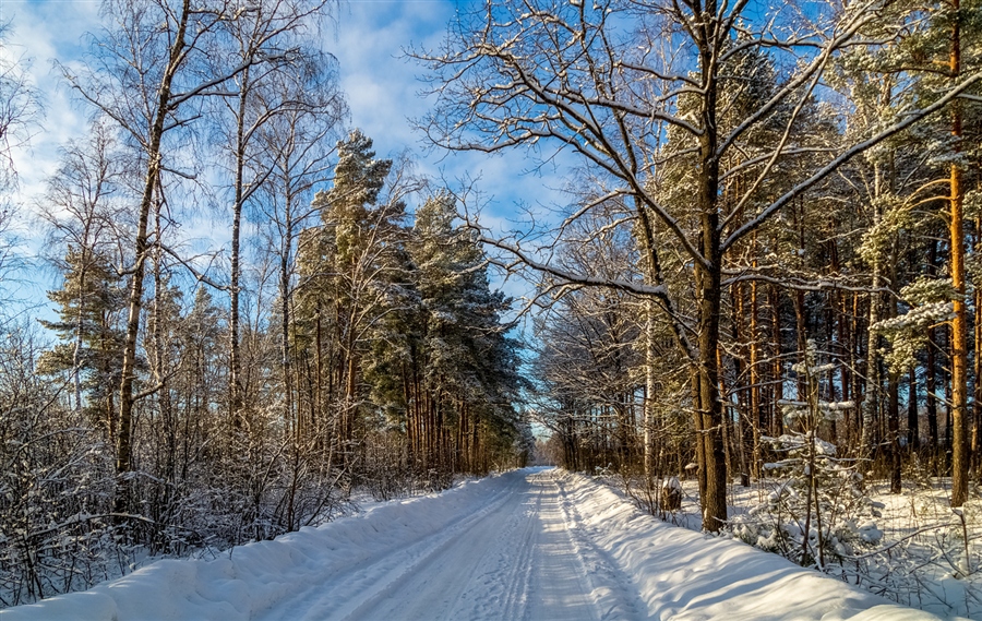 Фото жизнь
