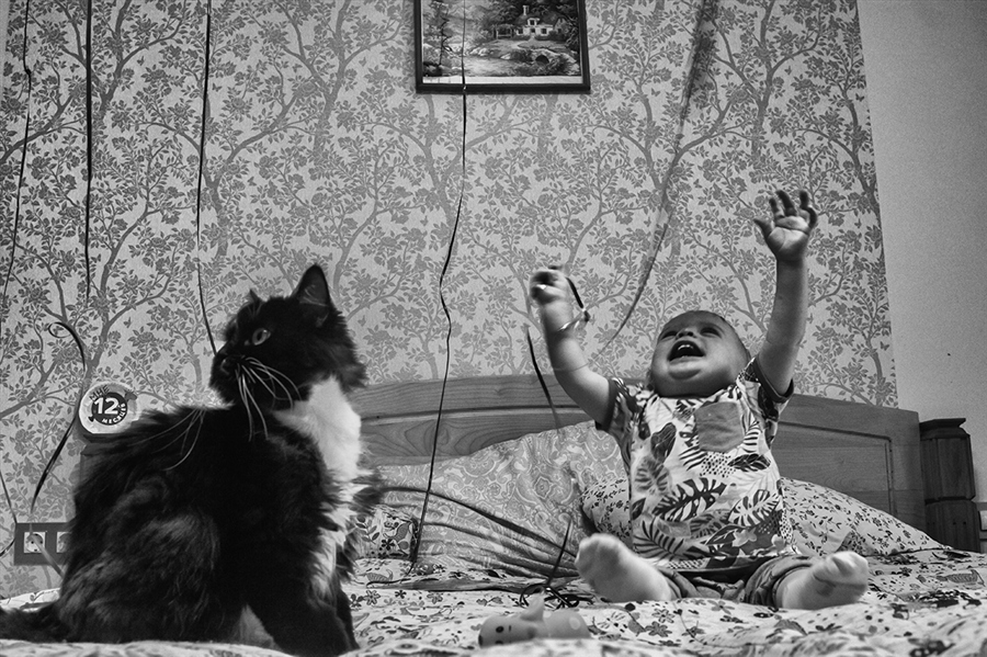 Фото жизнь