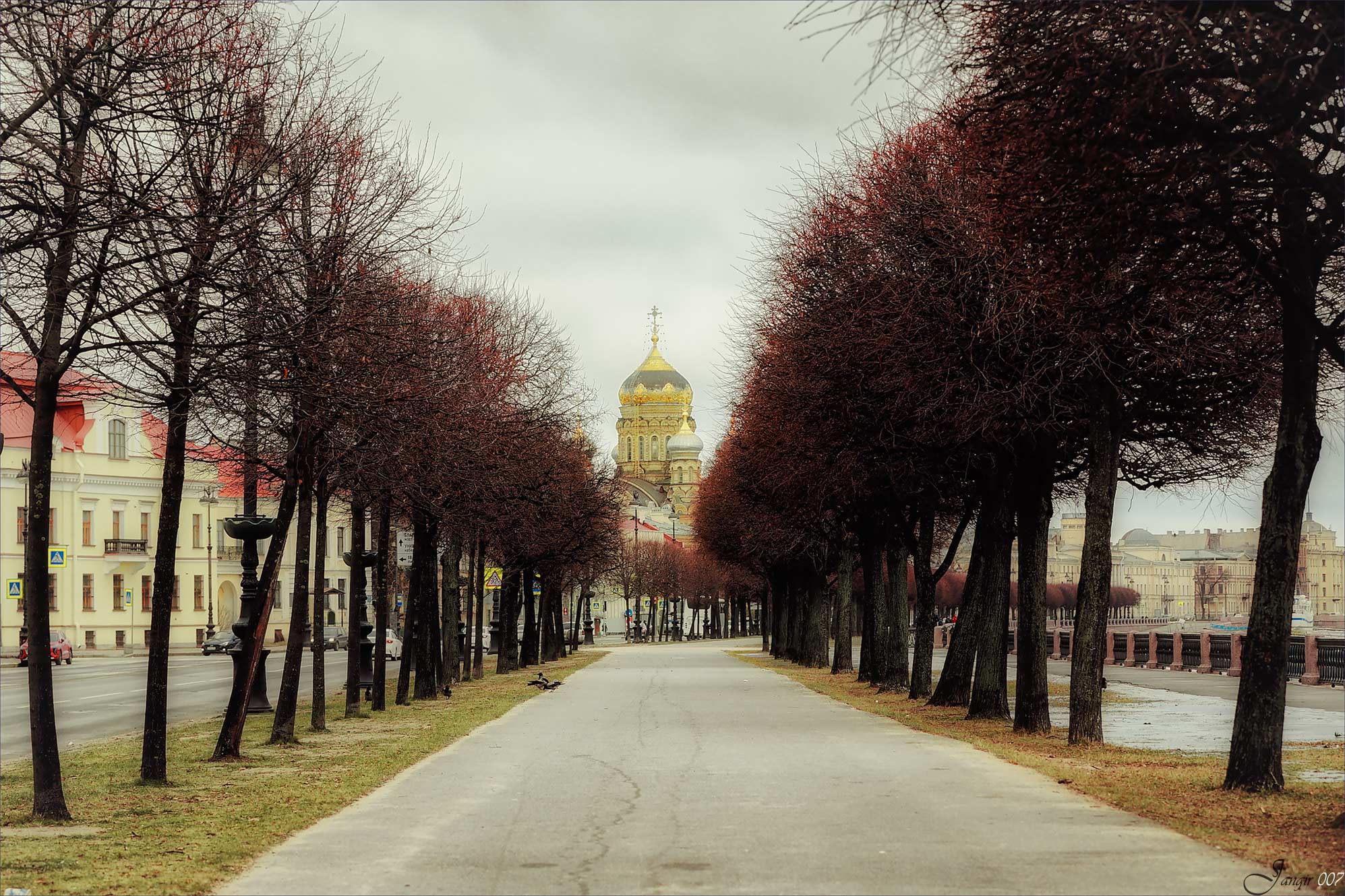 Фото жизнь - Игорь Майоров - корневой каталог - Липовая аллея на набережной  Шмидта