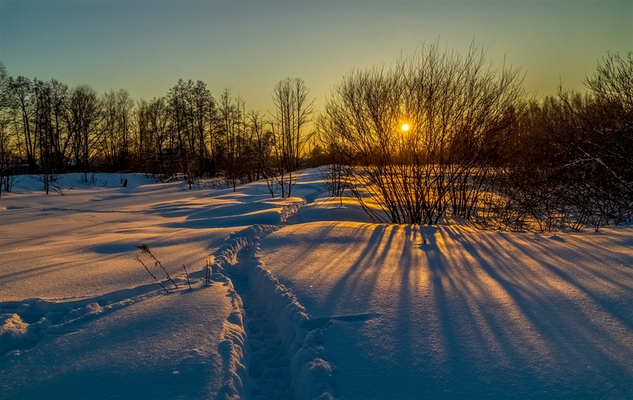 Фото жизнь