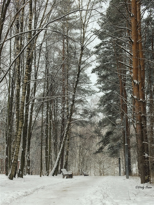 Фото жизнь