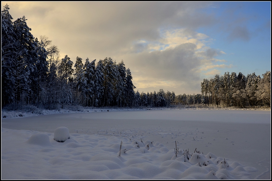 Фото жизнь