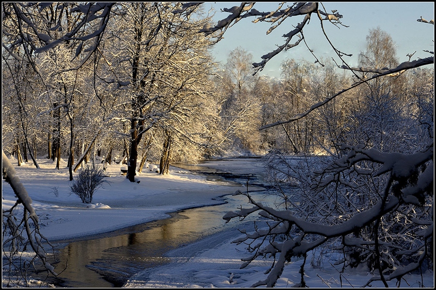 Фото жизнь