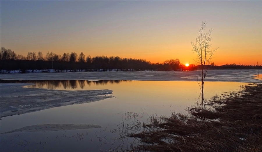 Фото жизнь