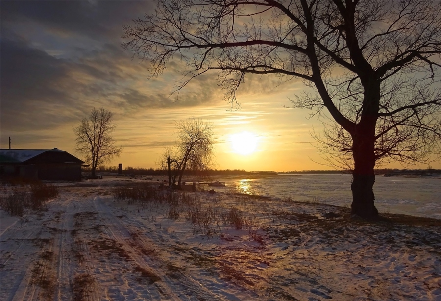 Фото жизнь