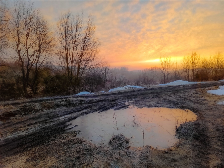 Фото жизнь