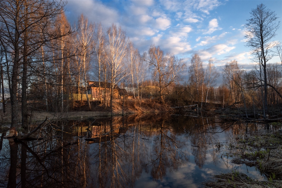 Фото жизнь