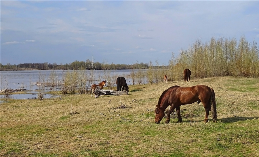 Фото жизнь