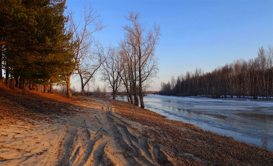 Фото жизнь