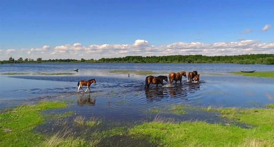 Фото жизнь