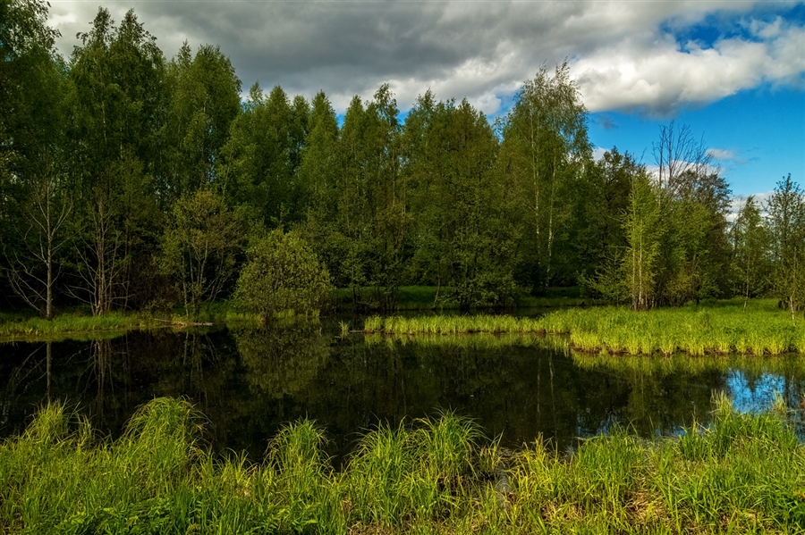 Фото жизнь