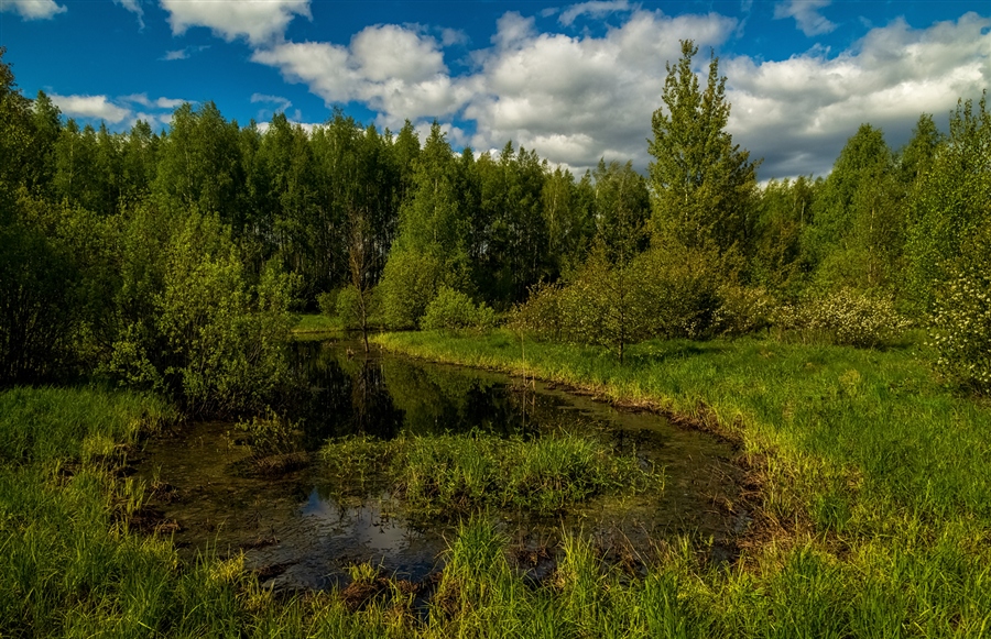 Фото жизнь