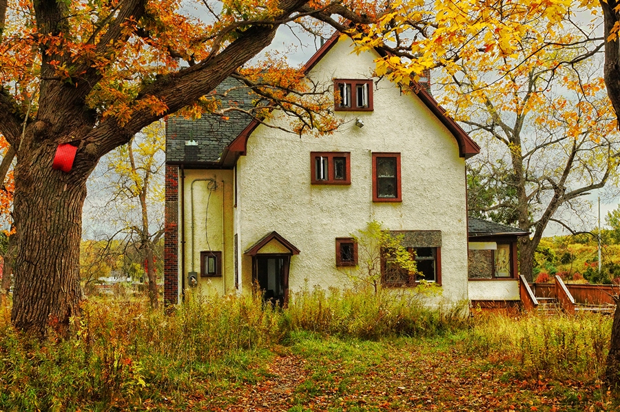 Фото жизнь