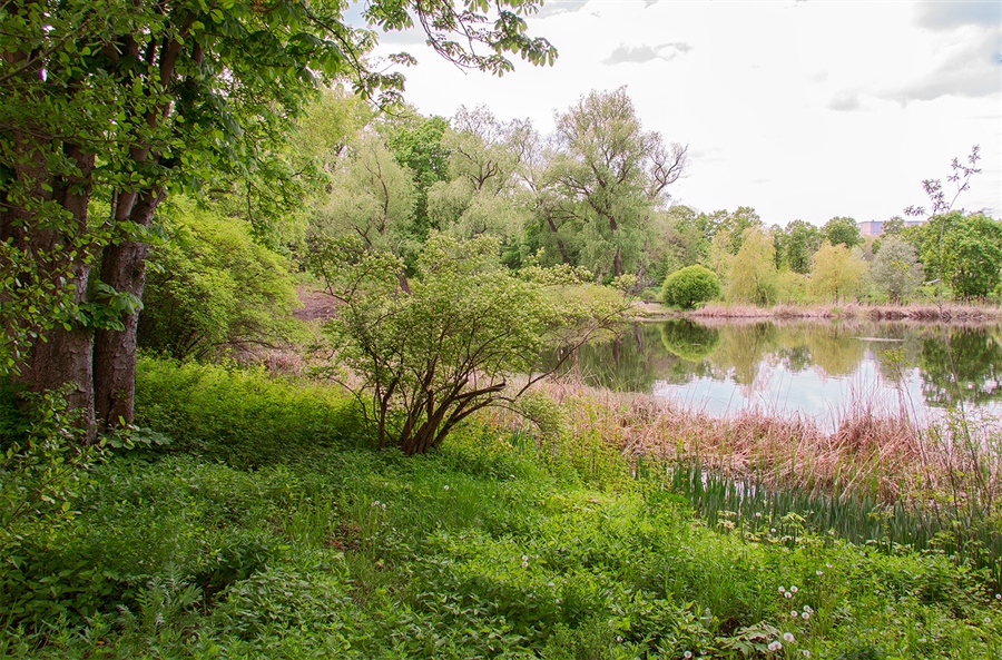 Фото жизнь