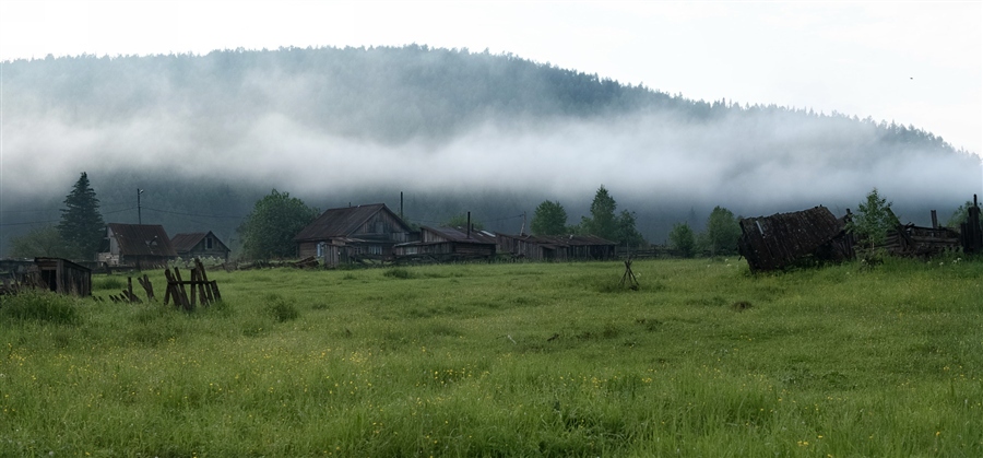 Фото жизнь