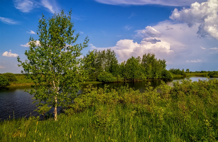 Фото жизнь