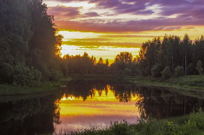 Фото жизнь (light) - Сергей Кочнев - корневой каталог - Введенский ручей