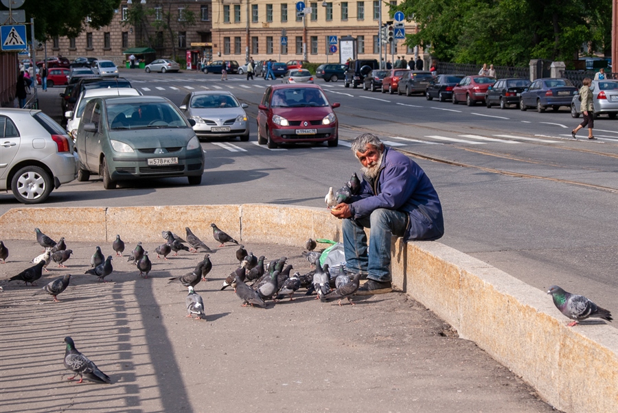 Фото жизнь