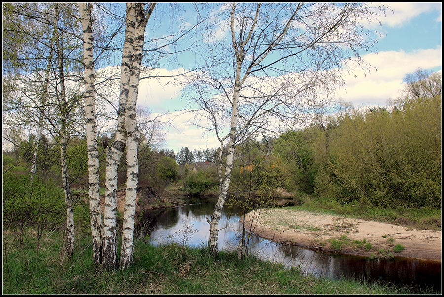 Фото жизнь