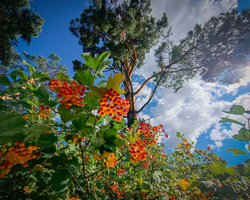 Фото жизнь
