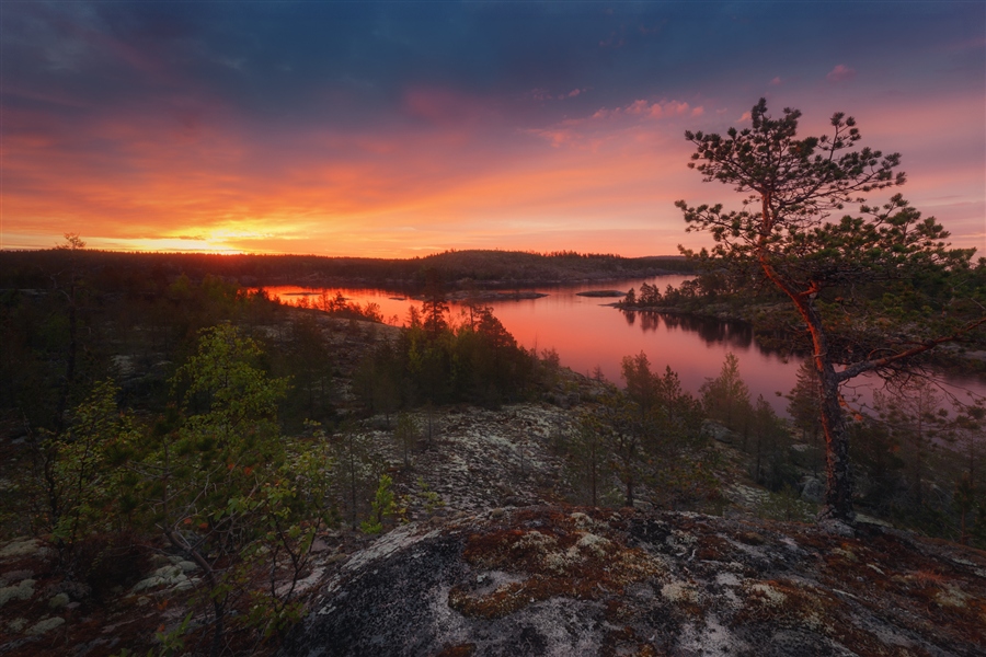 Фото жизнь