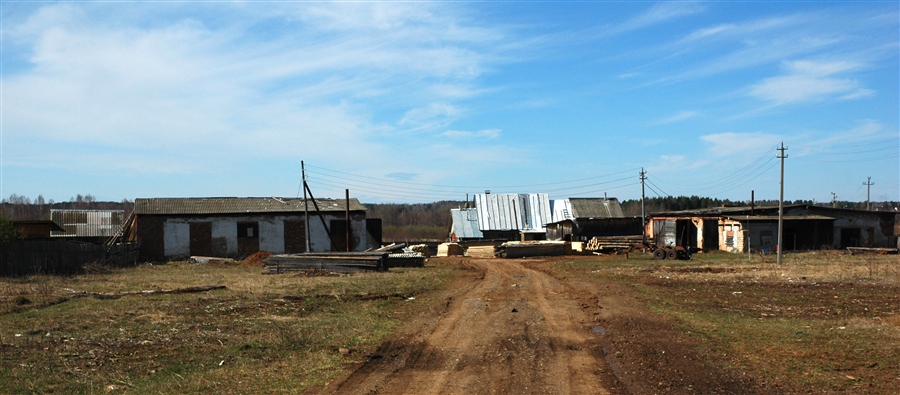 Фото жизнь