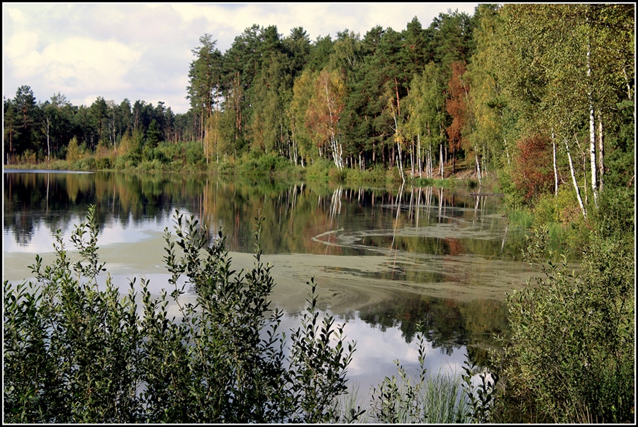 Фото жизнь