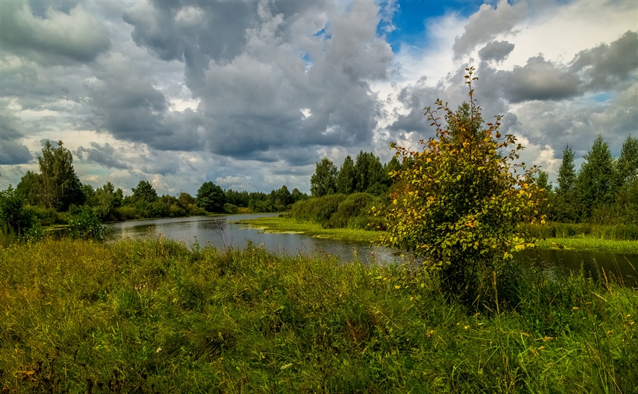Фото жизнь