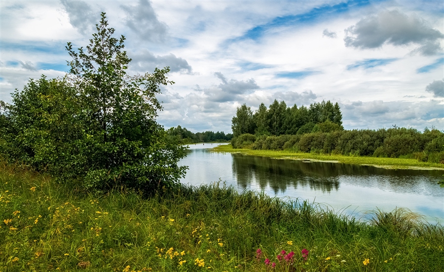 Фото жизнь
