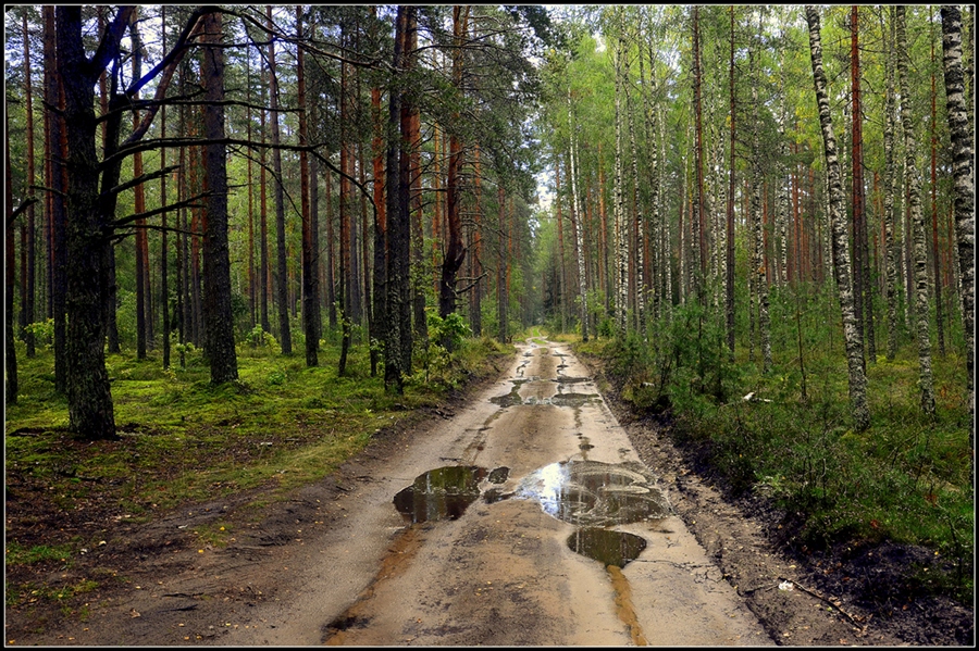 Фото жизнь