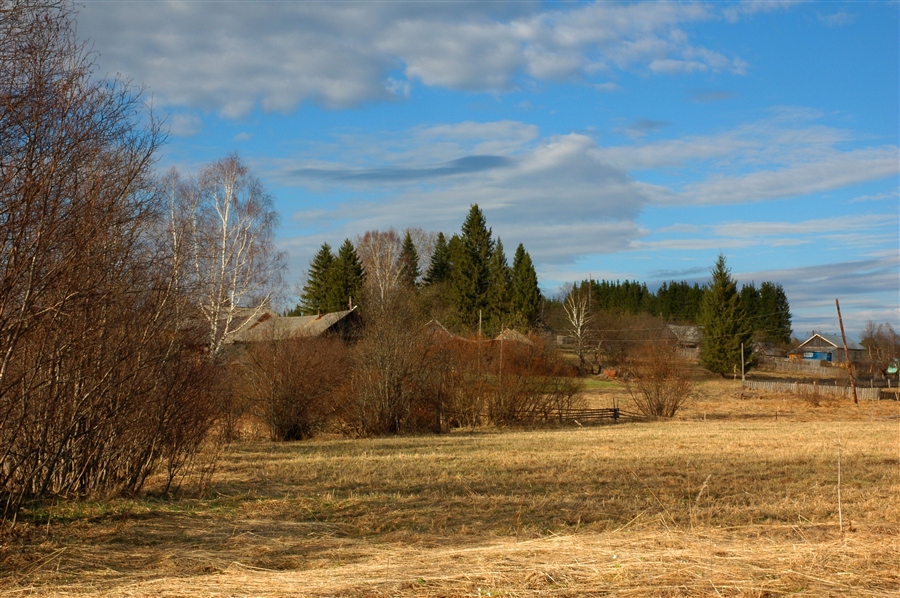 Фото жизнь