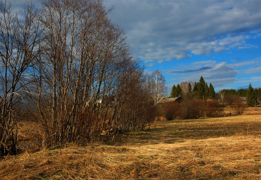 Фото жизнь