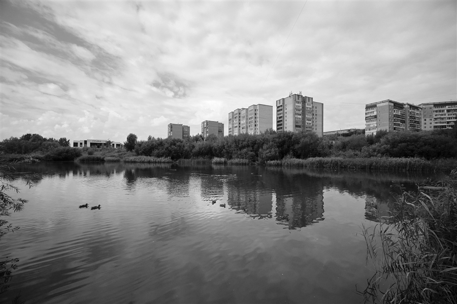 Фото жизнь