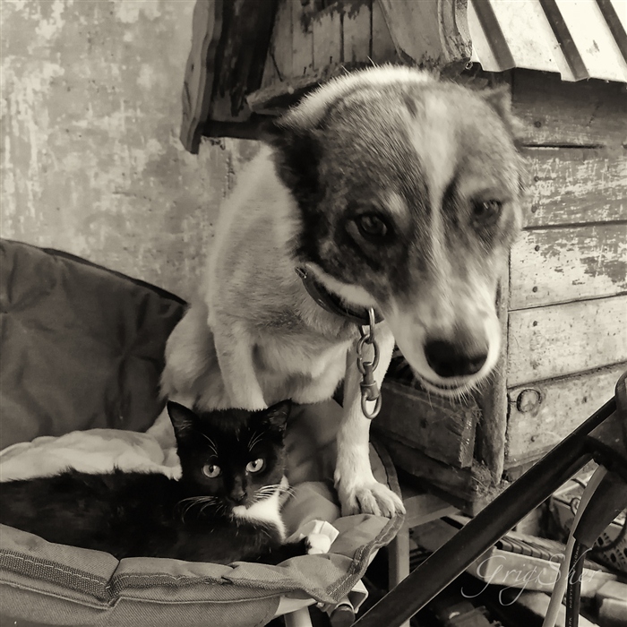 Фото жизнь