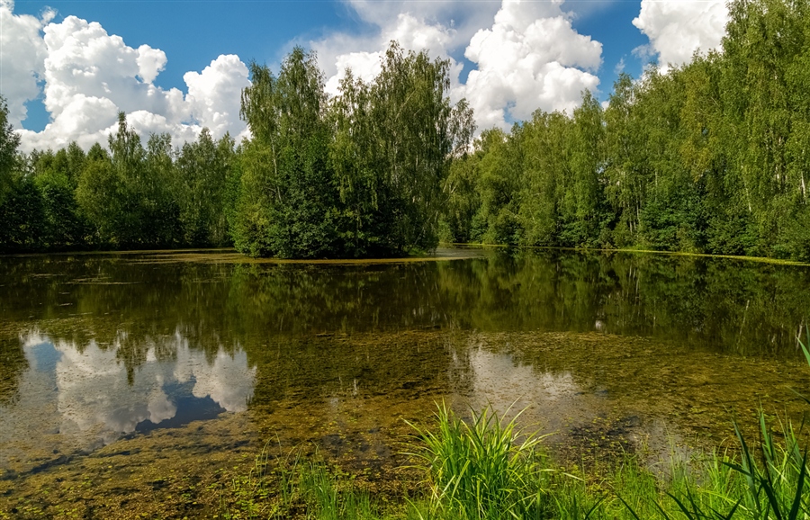Фото жизнь