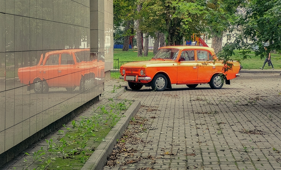 Фото жизнь
