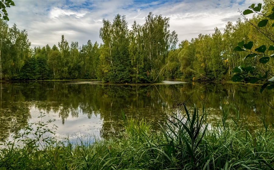 Фото жизнь