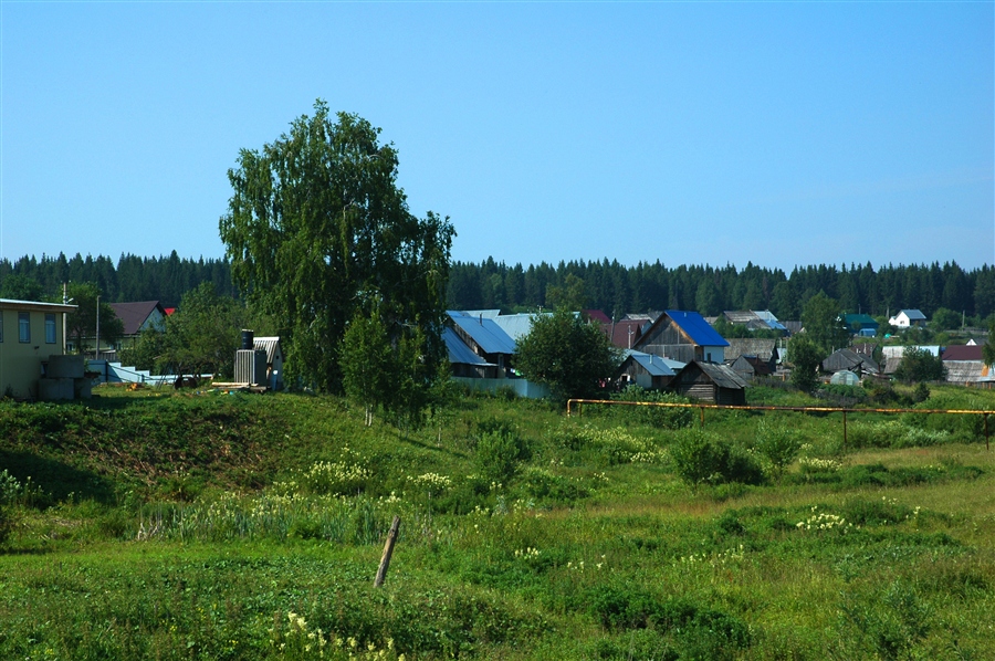 Фото жизнь