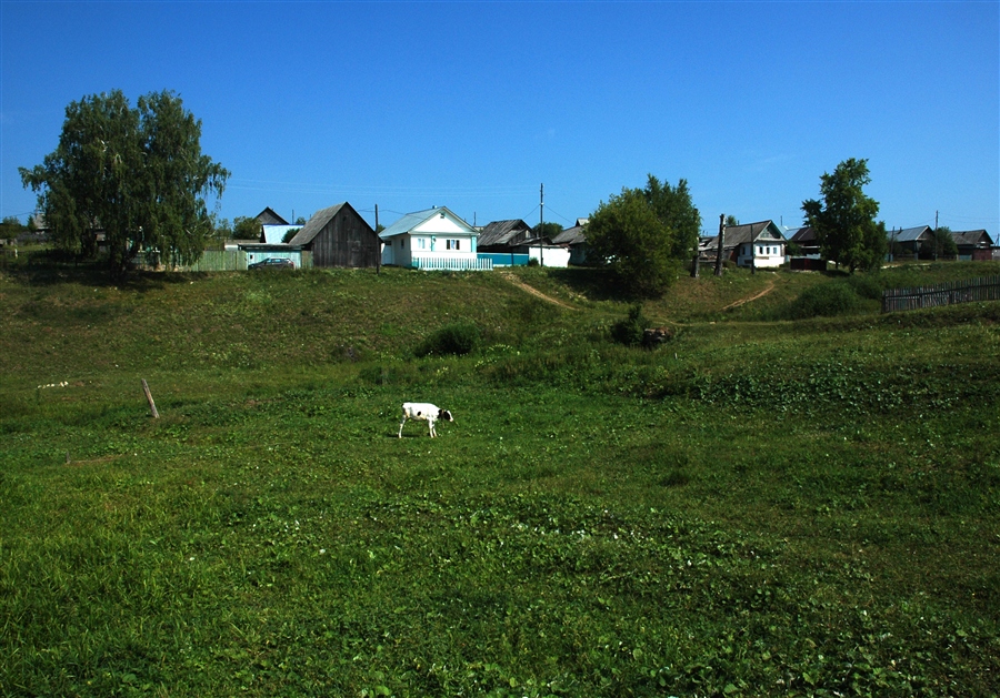 Фото жизнь