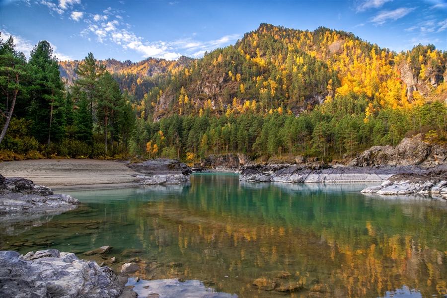 Фото жизнь