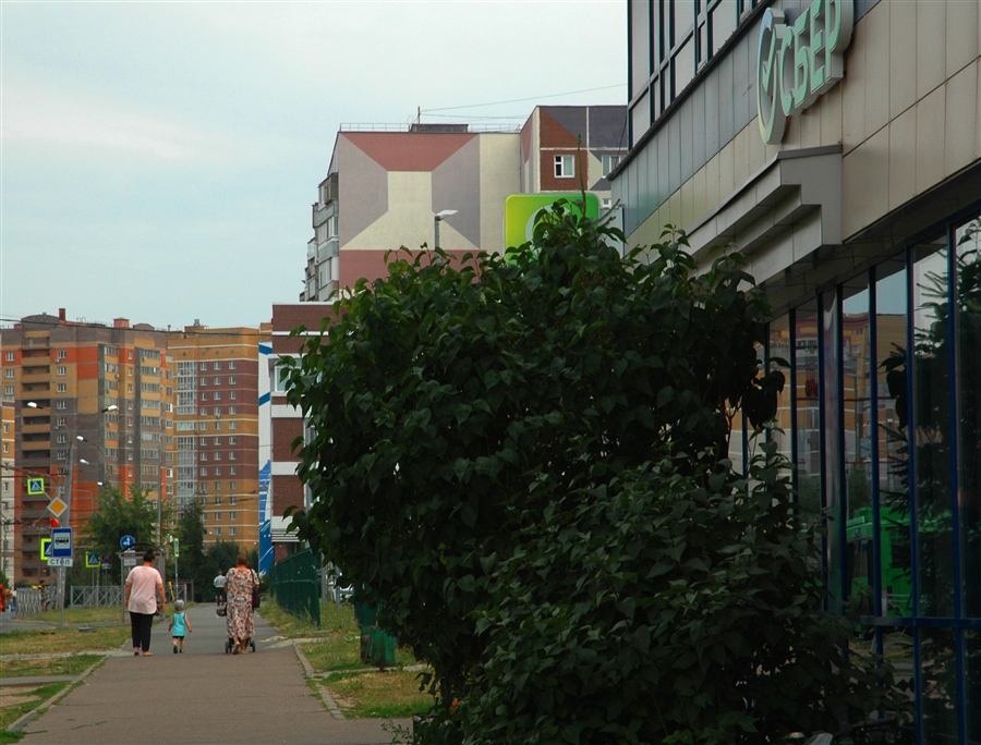 Фото жизнь