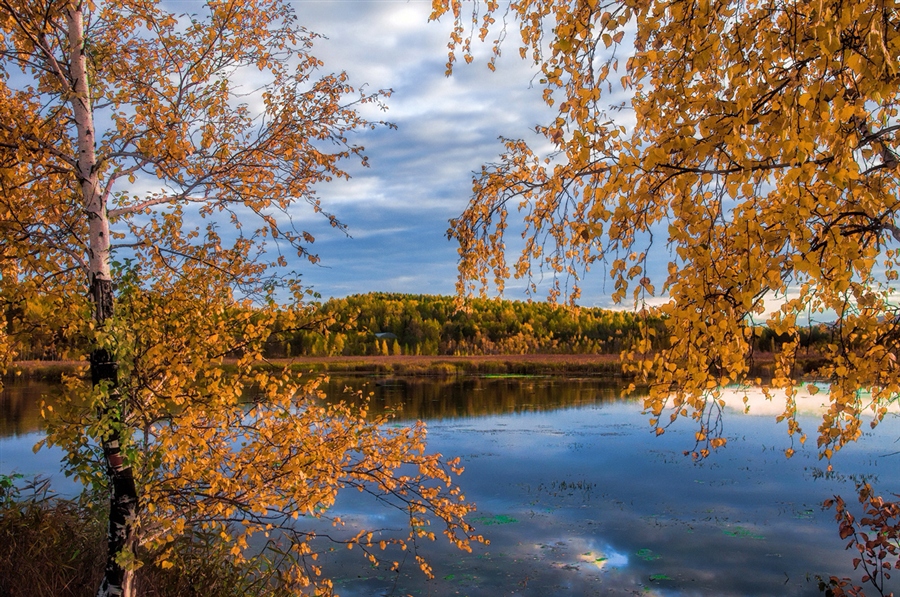 Фото жизнь