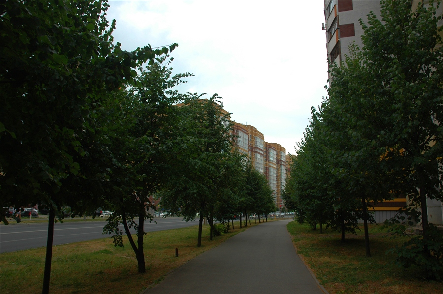 Фото жизнь