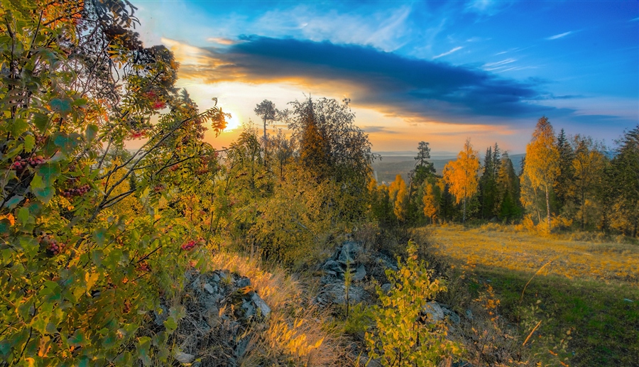 Фото жизнь