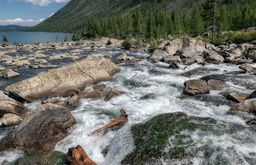 Фото жизнь