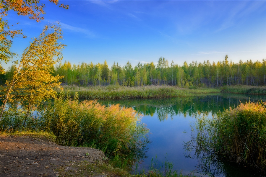 Фото жизнь