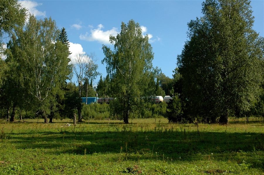 Фото жизнь