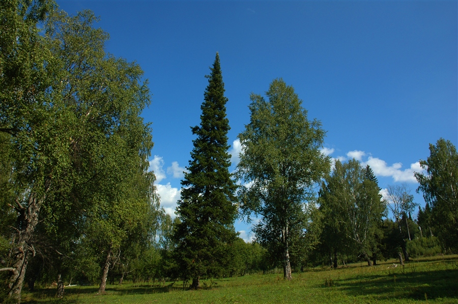 Фото жизнь