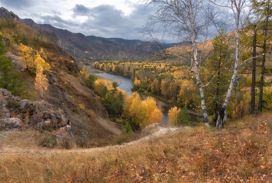 Фото жизнь
